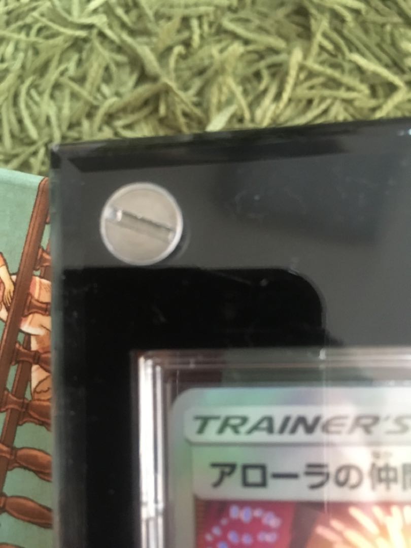 最終値下げ!! アローラの仲間たち