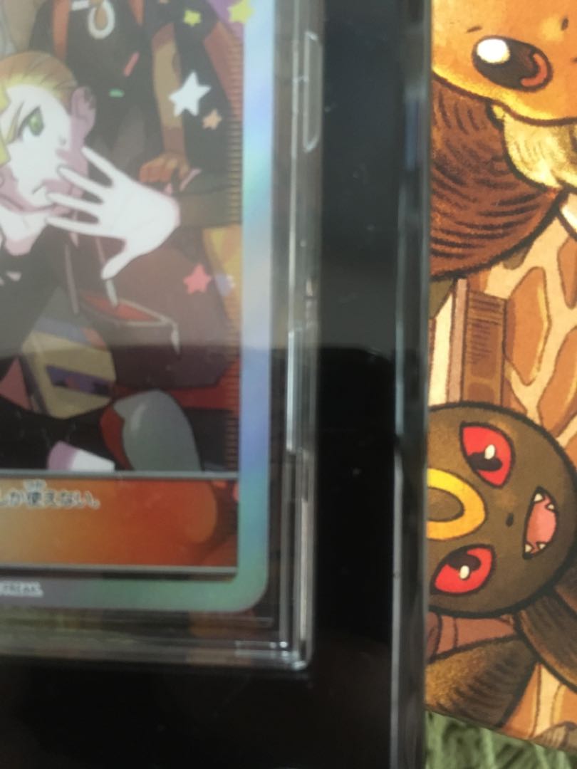 最終値下げ!! アローラの仲間たち