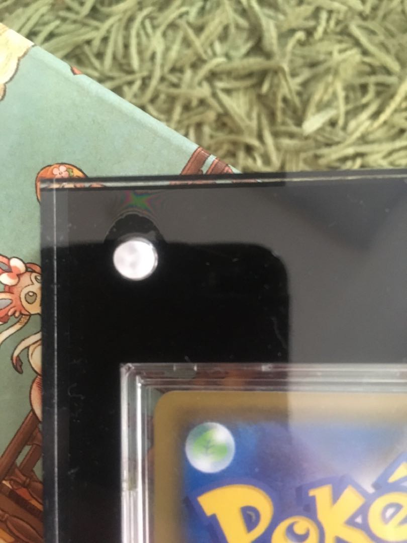 最終値下げ!! アローラの仲間たち