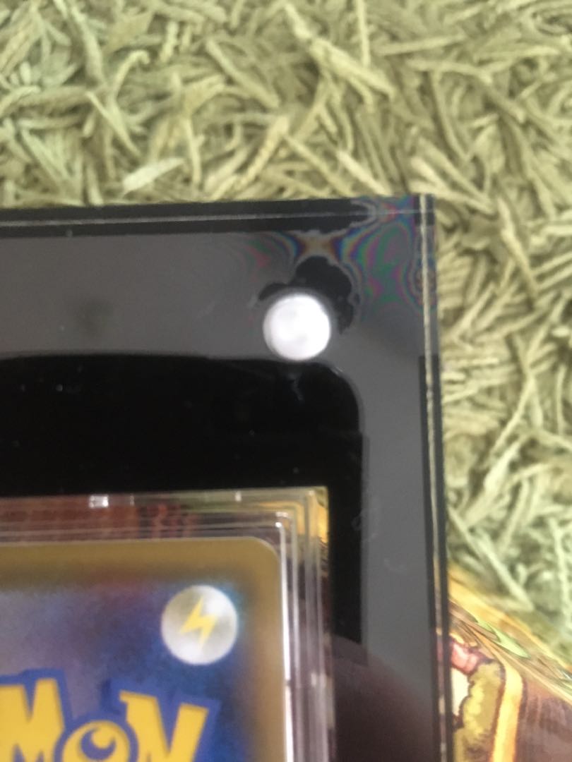 最終値下げ!! アローラの仲間たち