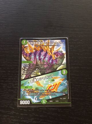 闘争類拳嘩目 ステゴロ・カイザー｜お清めシャラップ R