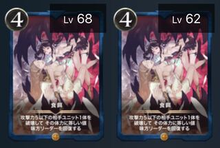 食餌（2枚セット）