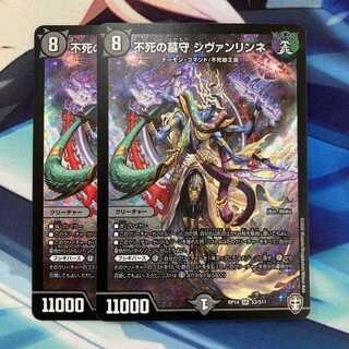 不死の墓守 シヴァンリンネ