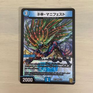 ネ申・マニフェスト