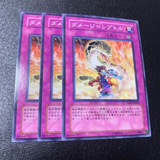 ダメージ=レプトル ノーマル