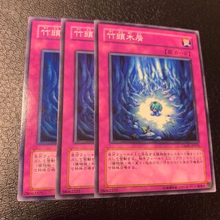 竹頭木屑 ノーマル