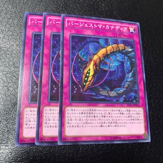 バージェストマ・カナディア ノーマル