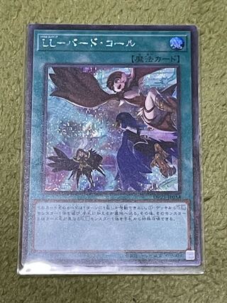 LL-Bird Call Secret Rare