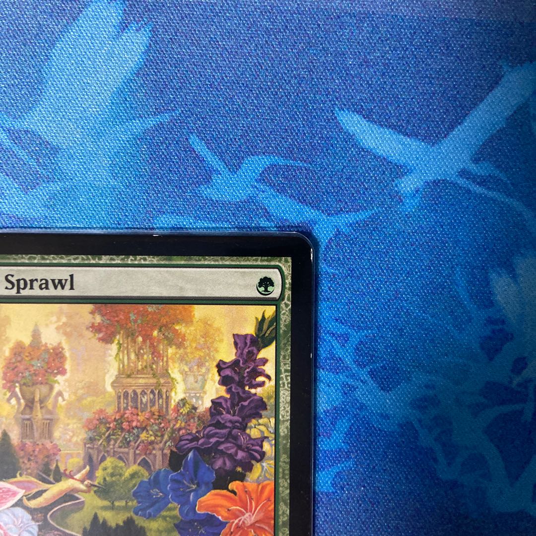 楽園の拡散 コモン