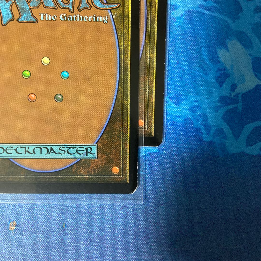 楽園の拡散 コモン