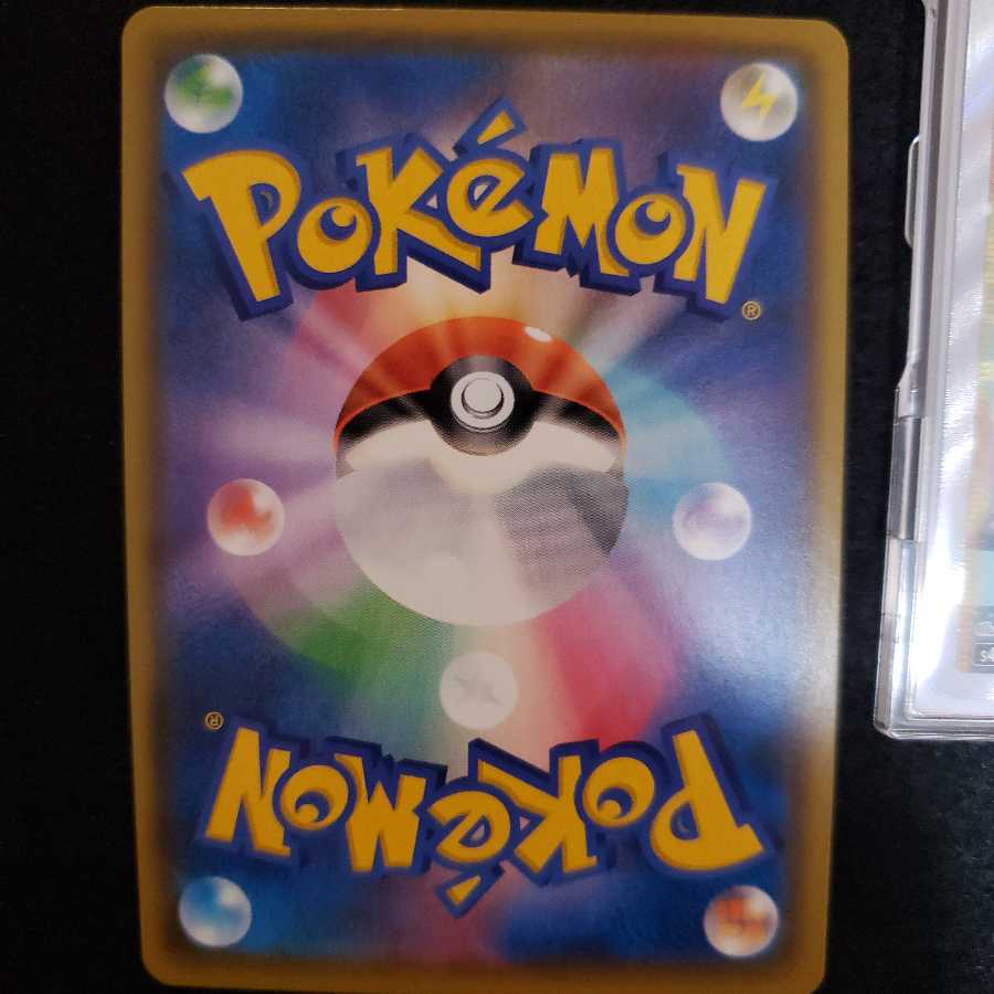 状態確認用 新マリィ2枚目