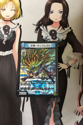 ネ申・マニフェスト