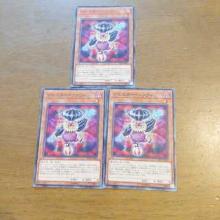 ジェスターコンフィ　３枚