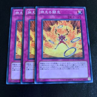 燃える闘志 ノーマル