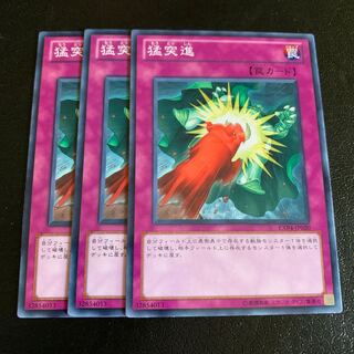 猛突進 ノーマル