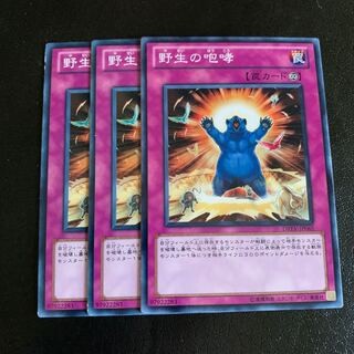 野生の咆哮 ノーマル