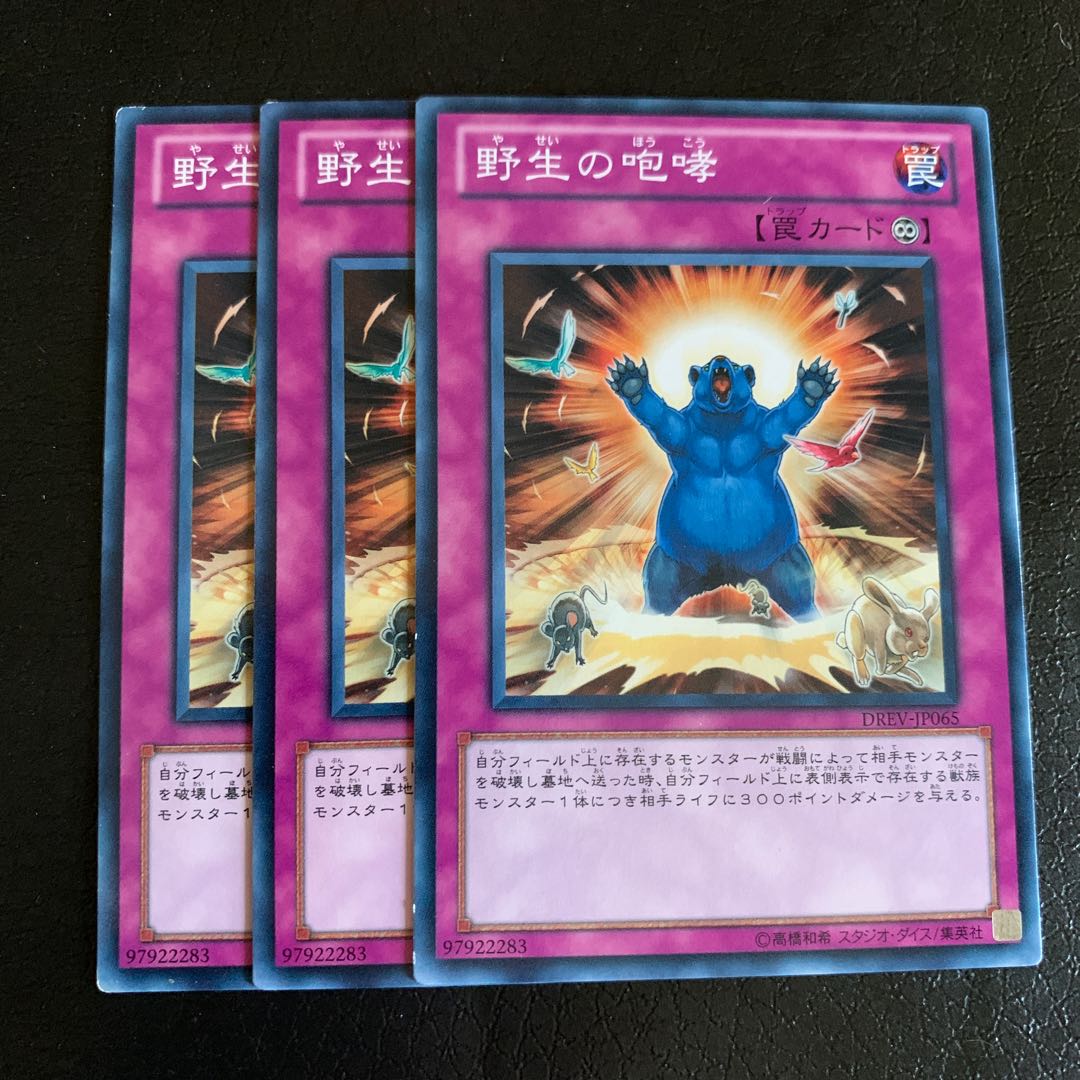 野生の咆哮 ノーマル