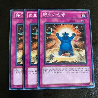 野生の咆哮 ノーマル