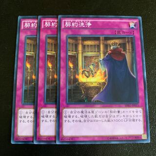 契約洗浄 ノーマル