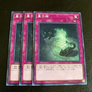 量子猫 ノーマル