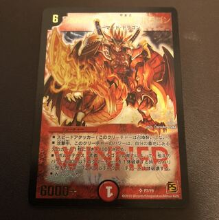 ボルシャック大和ドラゴン