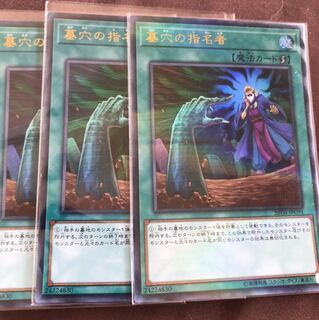 墓穴の指名者　ウルトラ