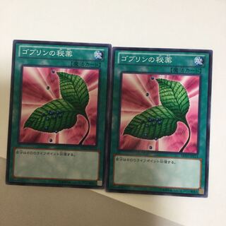 ゴブリンの秘薬　２枚