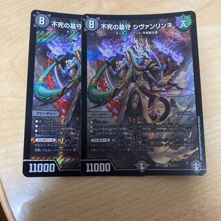 不死の墓守 シヴァンリンネ