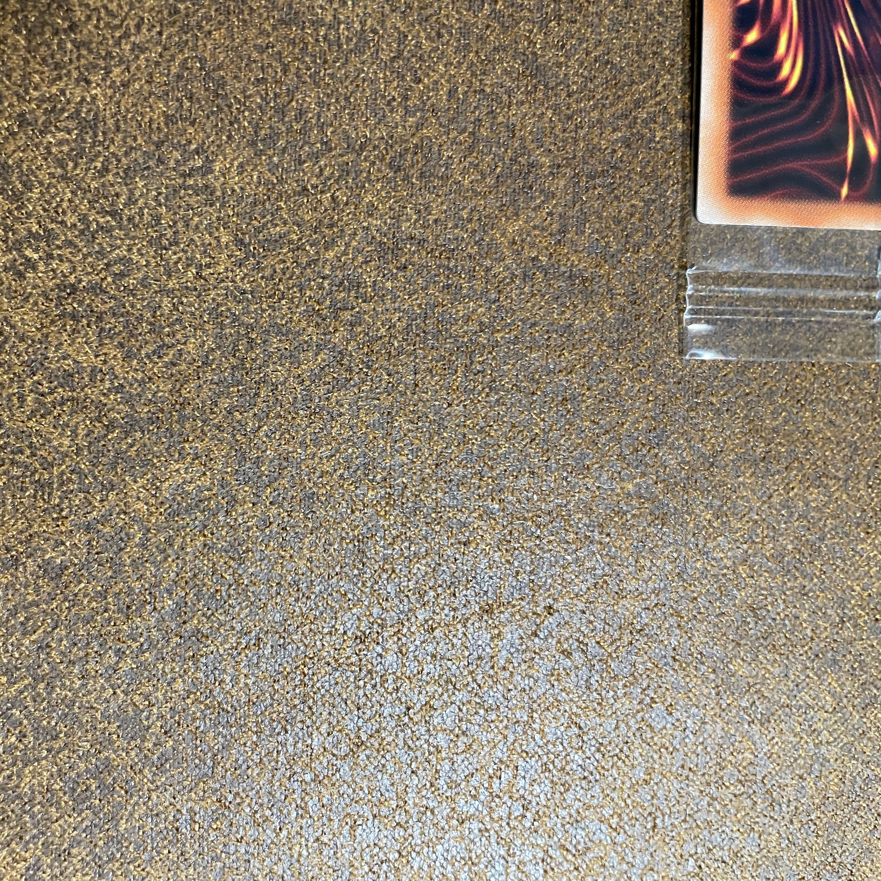 WCS2019レッドアイズ