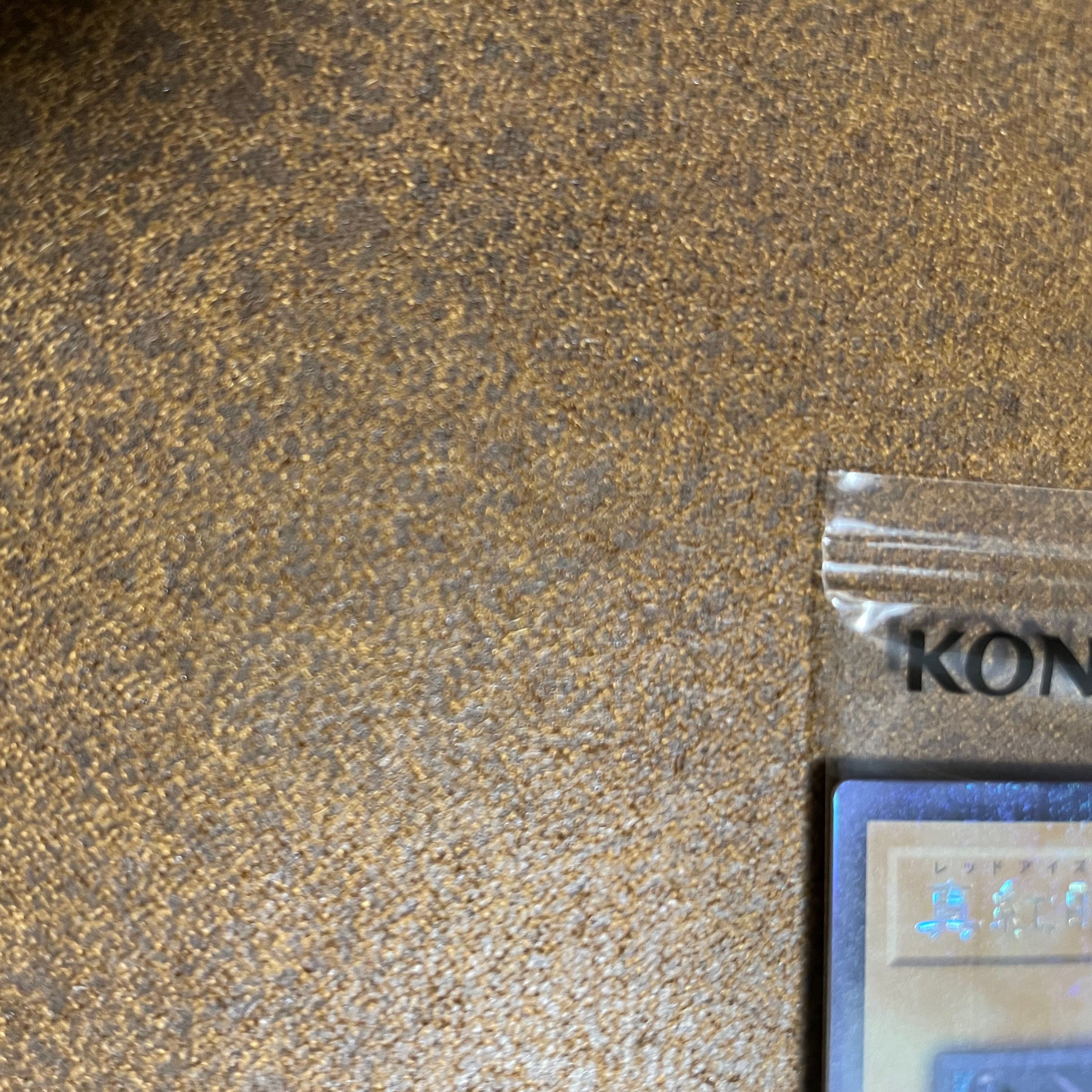 WCS2019レッドアイズ