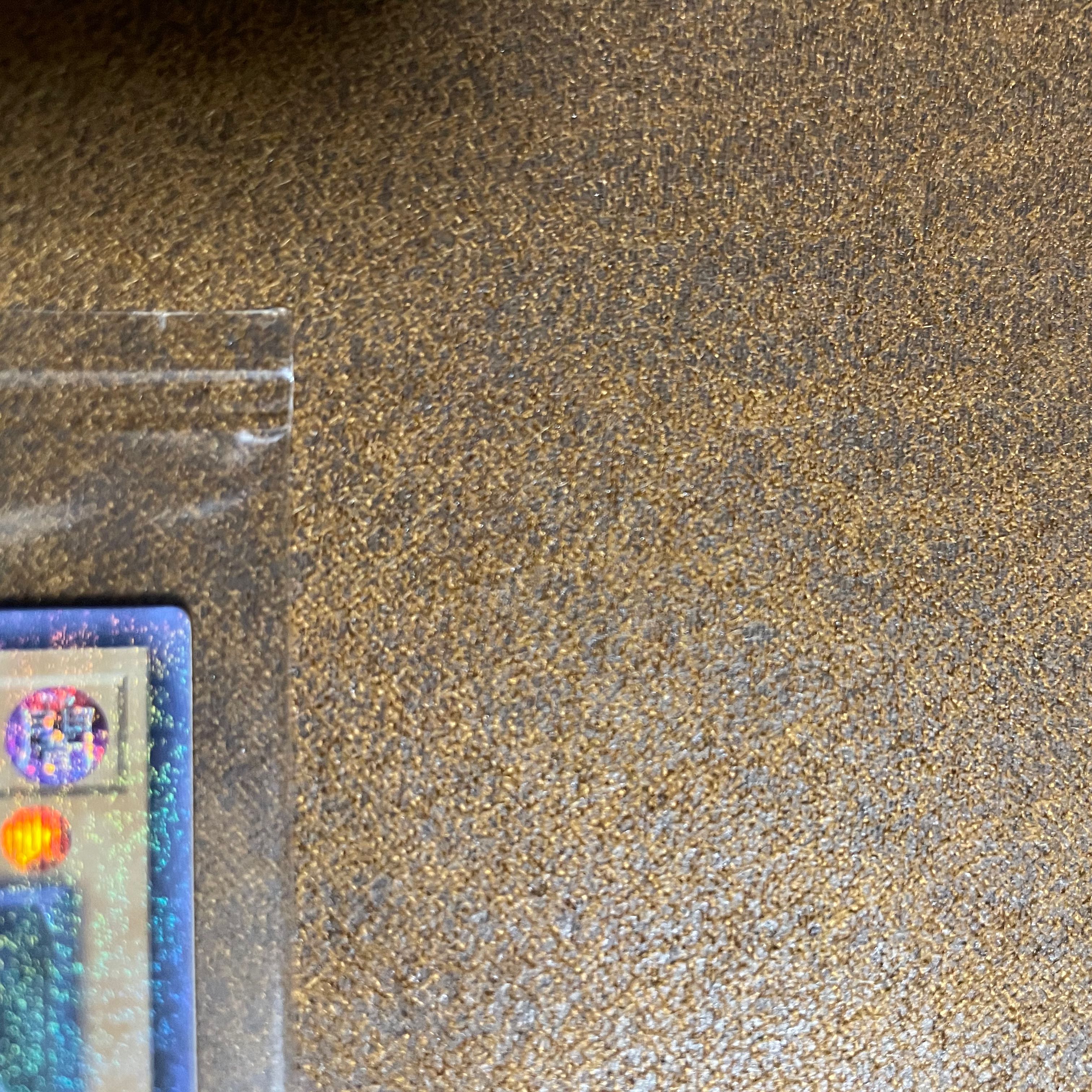 WCS2019レッドアイズ