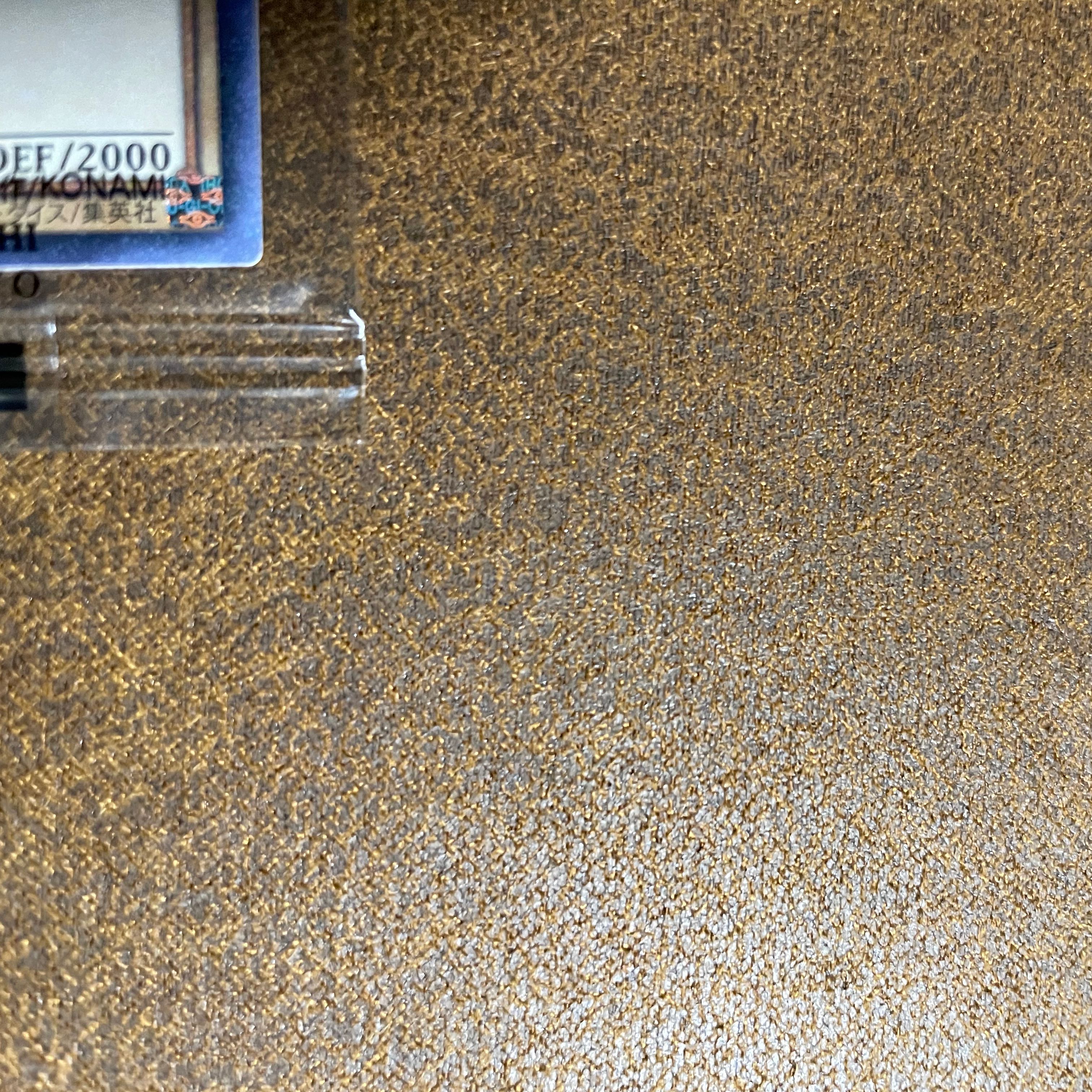 WCS2019レッドアイズ