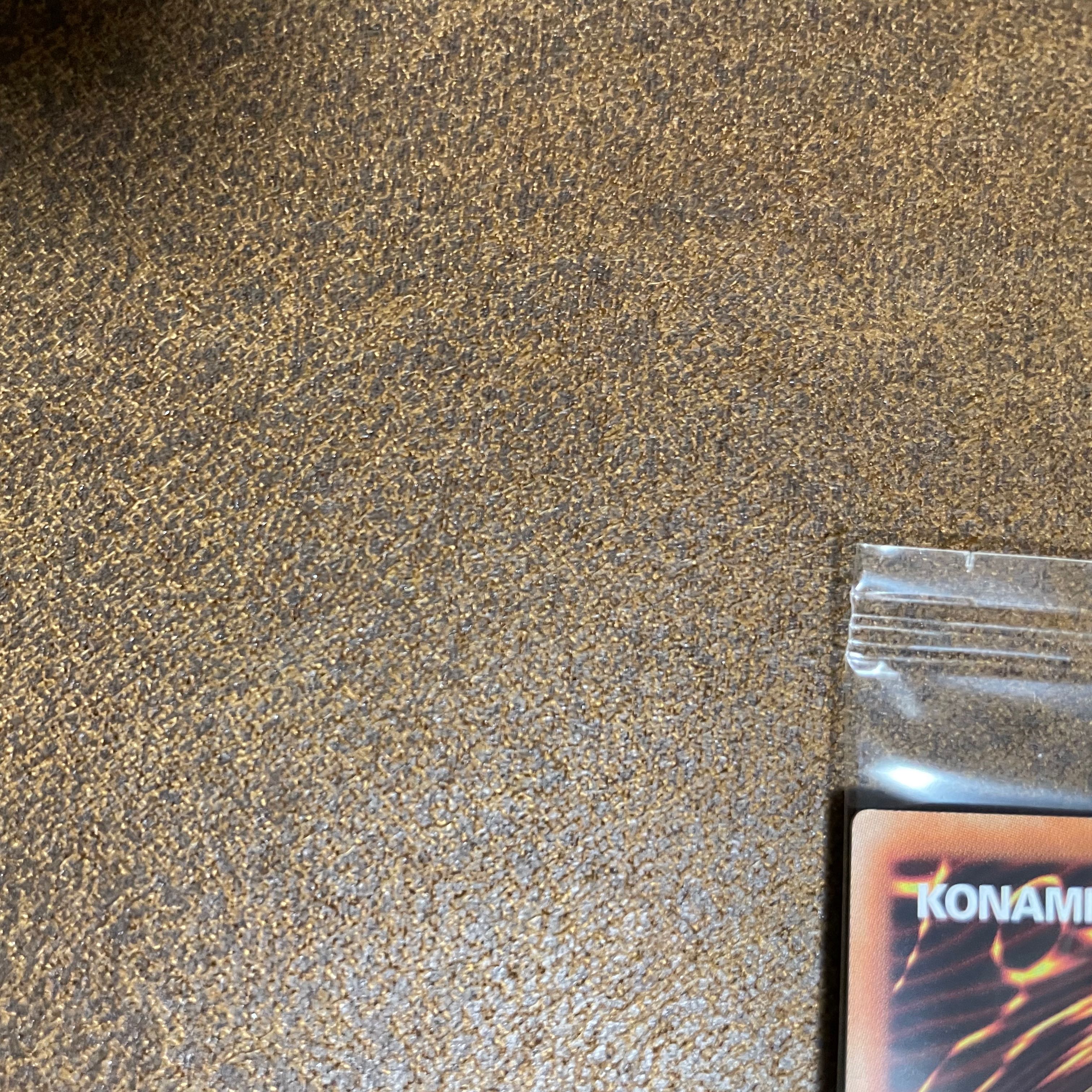 WCS2019レッドアイズ