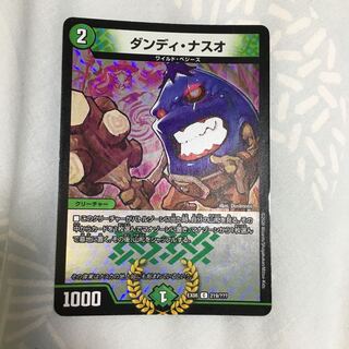 ダンディ・ナスオ C-foil