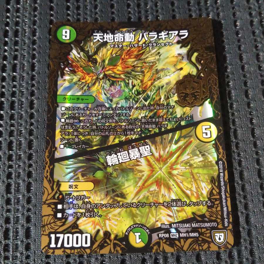 天地命動 バラギアラ|輪廻暴聖