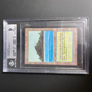 Tropical Island LEA BGS9