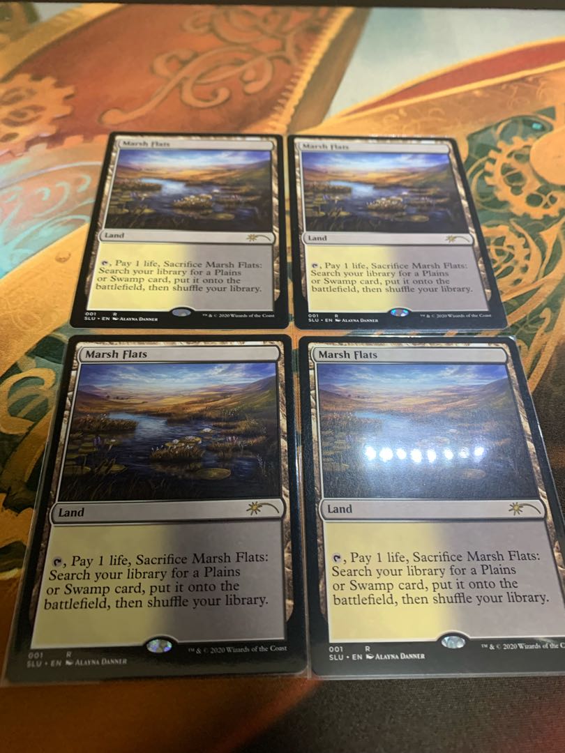 湿地の干潟4 Secret Lair