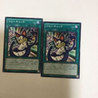 コピーキャット　２枚