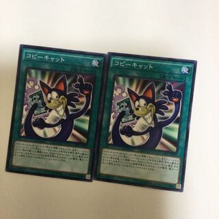 コピーキャット　２枚