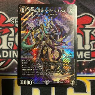 不死の墓守シヴァリンネ