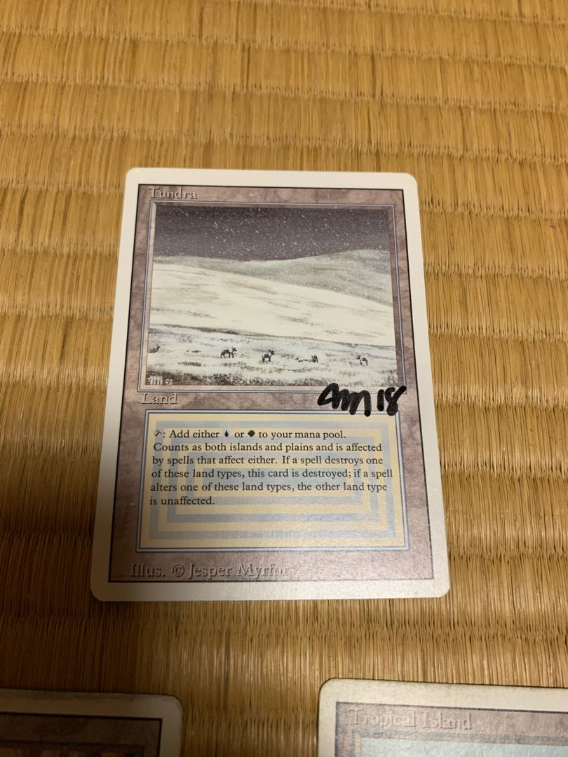 【早い者勝ち】Tundra, Underground sea