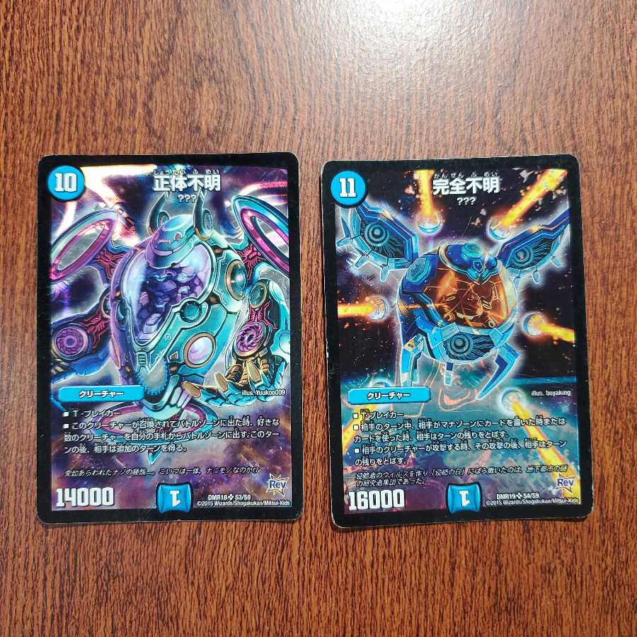 （最安値）完全不明+正体不明