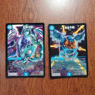 （最安値）完全不明+正体不明