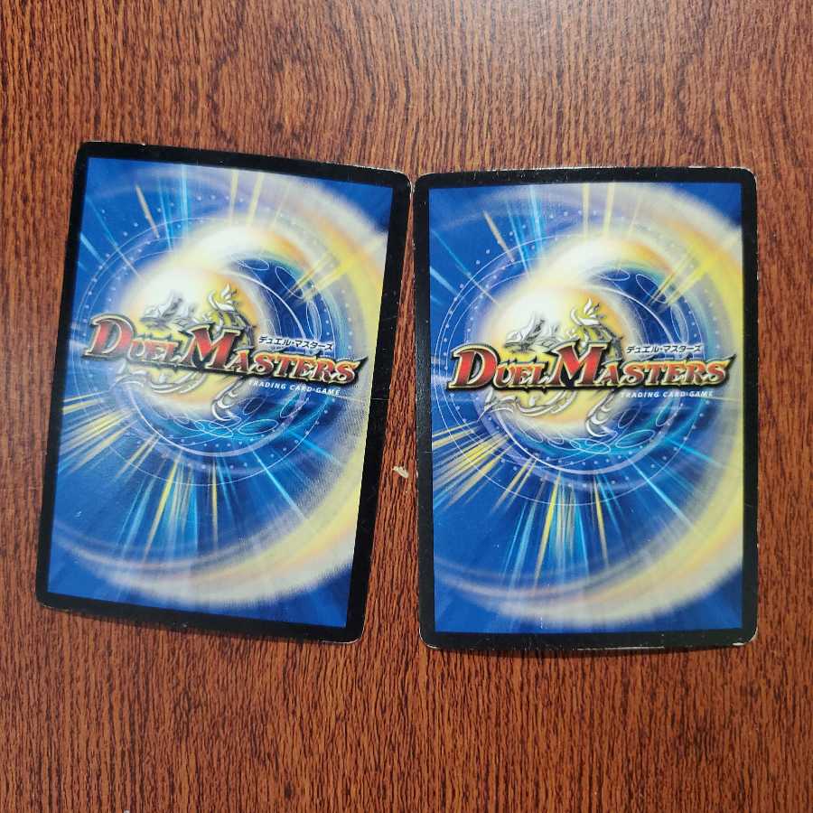 （最安値）完全不明+正体不明