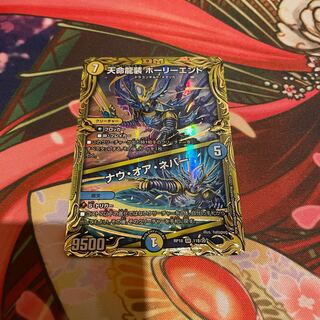 天命龍装 ホーリーエンド｜ナウ・オア・ネバー(20thSPレア仕様)