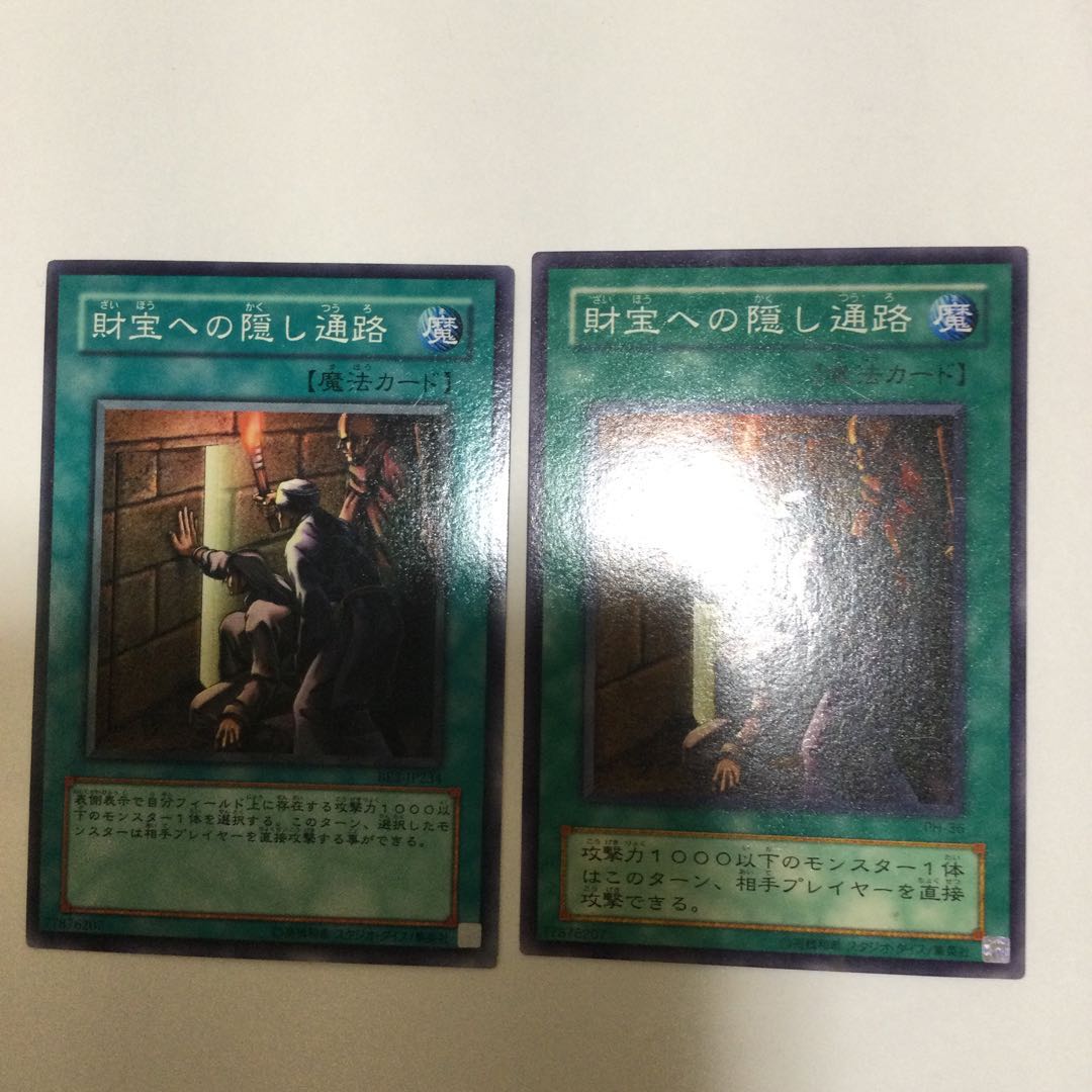 財宝への隠し通路　２枚 1枚