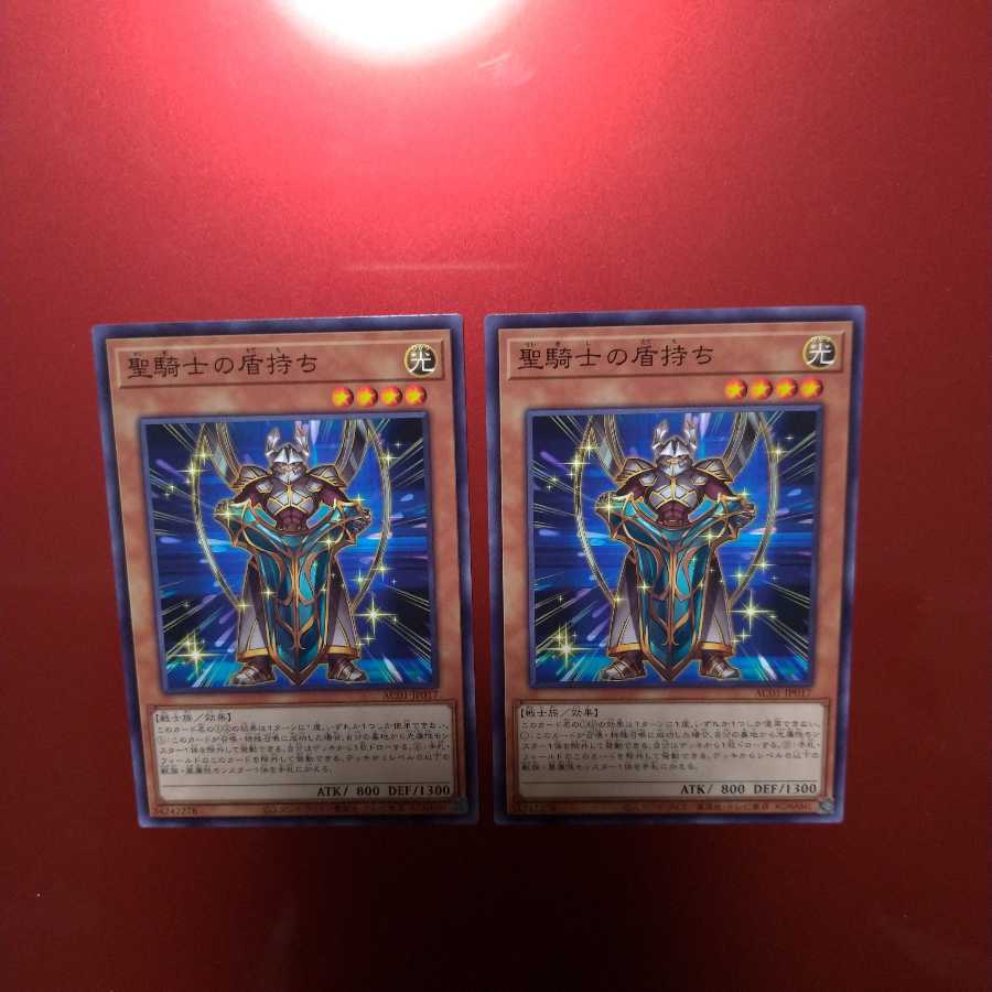 Noble Knight's Shield-Bearer Normal