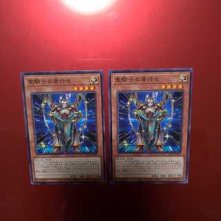 Noble Knight's Shield-Bearer Normal