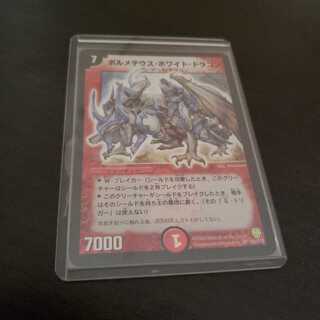 ボルメテウス・ホワイト・ドラゴン　初期