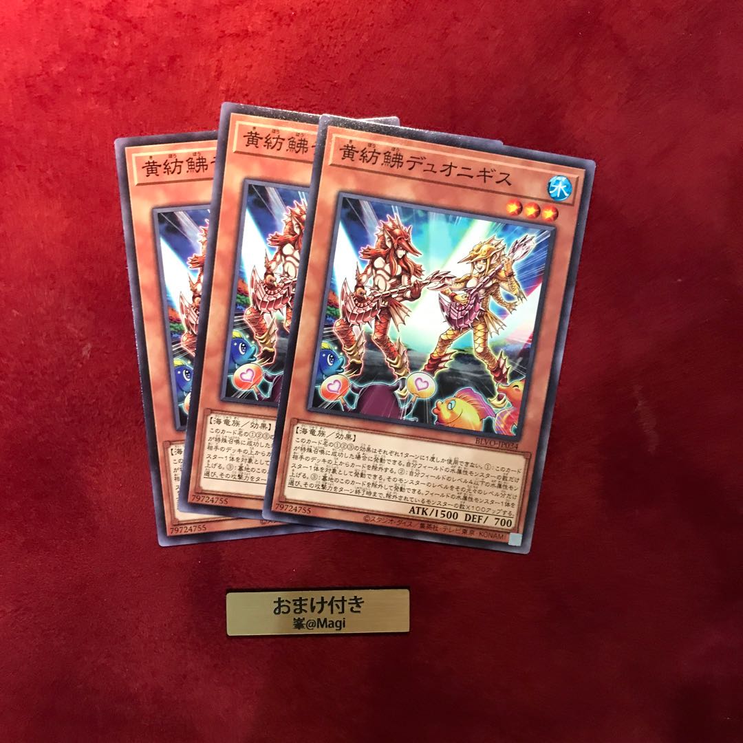 黄紡鮄デュオニギス ノーマル